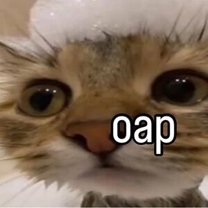 Meet your Posher, Zez